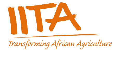 IITA Recruitment 2023 Application