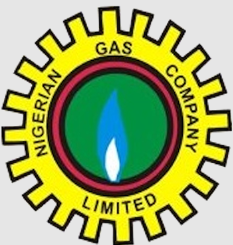 Nigeria Gas Company Job