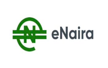 e-Naira Registration Portal Login