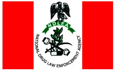 NDLEA News Today on Recruitment