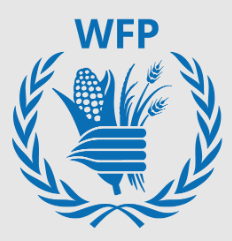 WFP Recruitment Process 2023