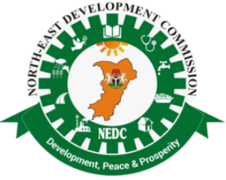 NEDC Recruitment 2023/2024