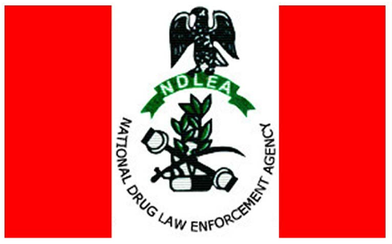 NDLEA Screening Date 2023