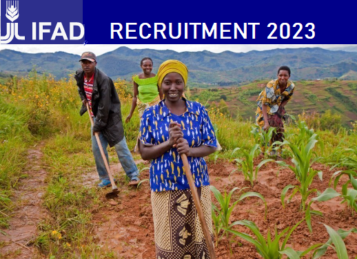 IFAD Recruitment 2023/2024